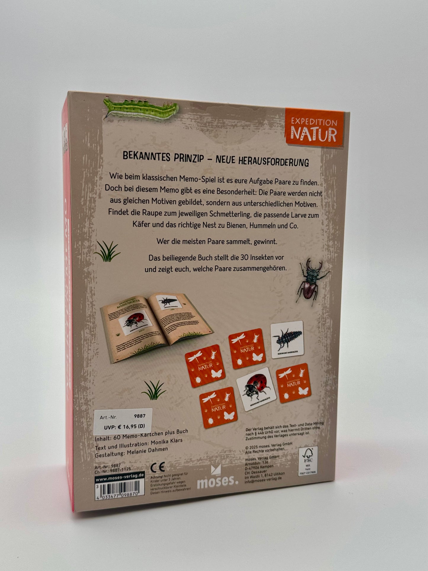Kinderspiel „Insektenmemo“