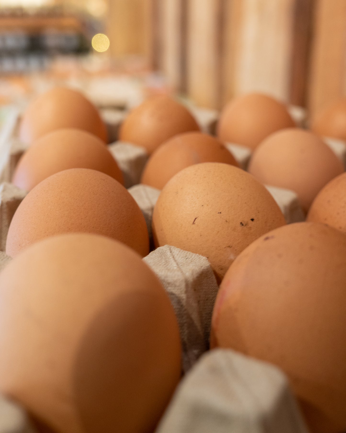 Freiland-Eier Größe M