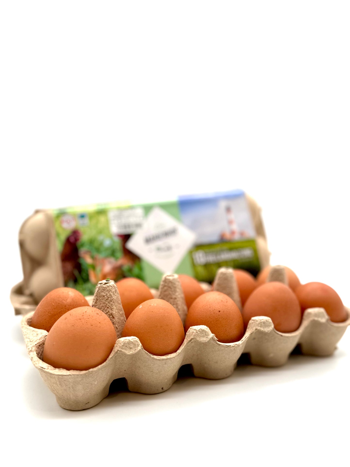 Freiland-Eier Größe M