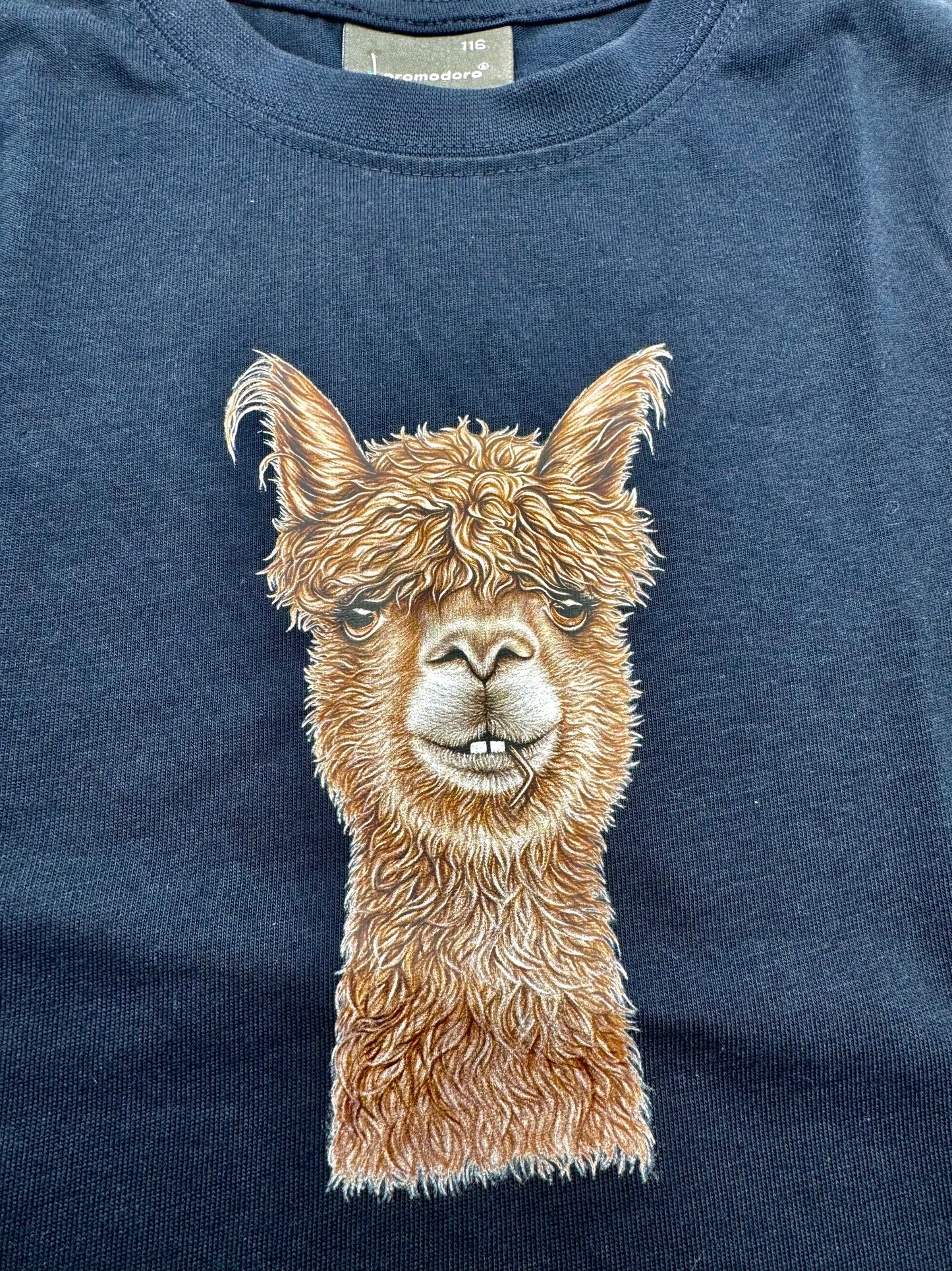 T-Shirt für Kinder (Alpaka)