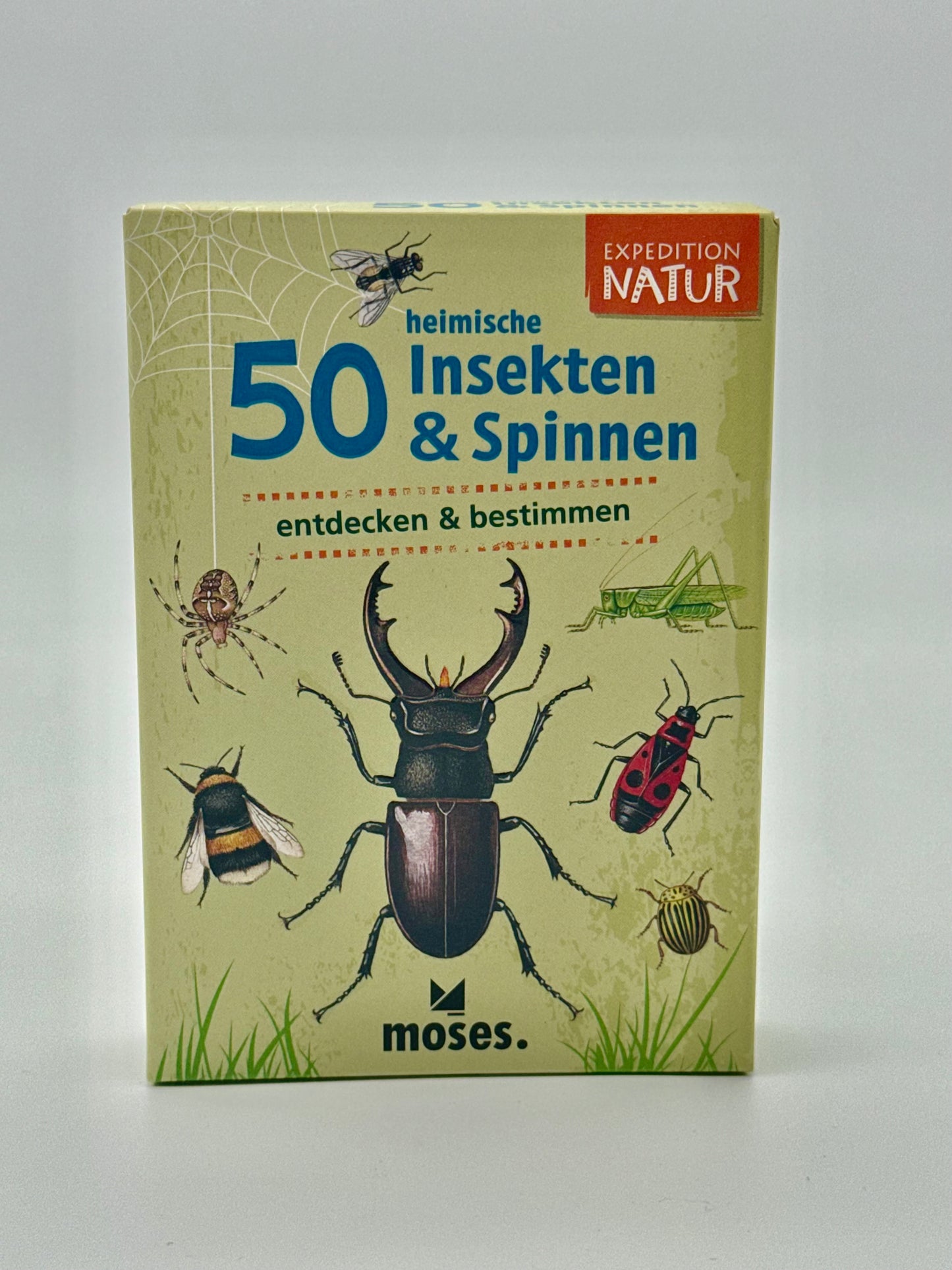 Spiel "50 heimische Insekten und Spinnen entdecken und bestimmen"