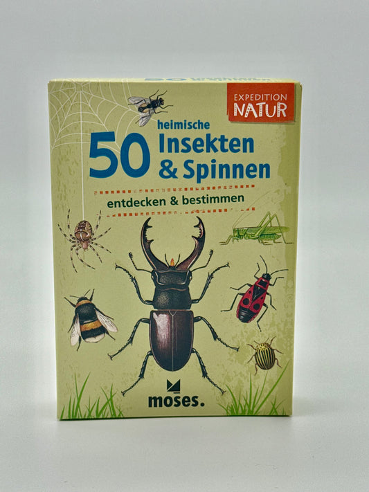 Spiel "50 heimische Insekten und Spinnen entdecken und bestimmen"